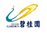 江城碧桂园地产